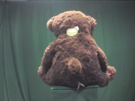 180 Degrees _ Picture 9 _ Brown Teddy Bear.png